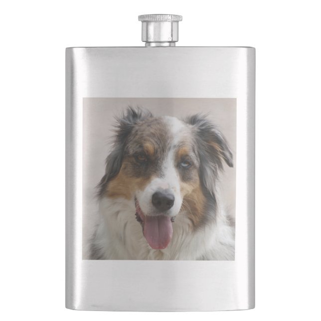 merle aussie fickplunta (Framsidan)