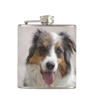 merle aussie fickplunta