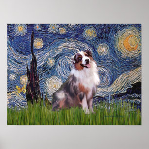 Merle Aussie Shep - Starry Natt Poster