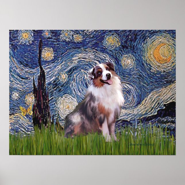 Merle Aussie Shep - Starry Night Poster (Framsidan)
