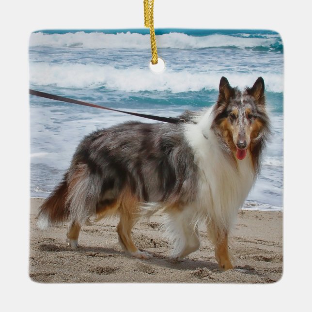 Merle Collie Hund vid Beach Julgransprydnad Keramik (Framsida)