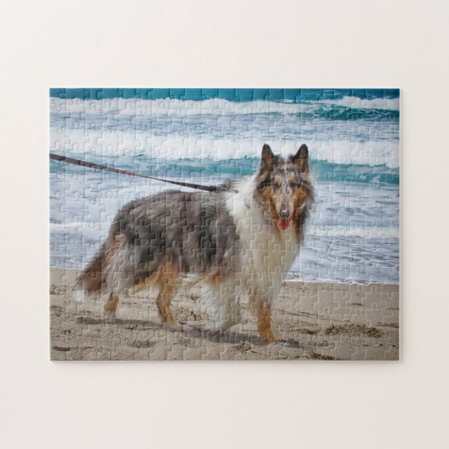 Merle Collie vid Beach Pussel (Horisontell)