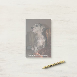 Merle Grand Danois Post-it Block