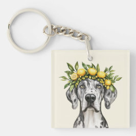 Merle Great dane Hund Lemon Krona
