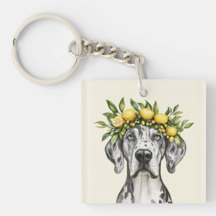 Merle Great dane Hund Lemon Krona