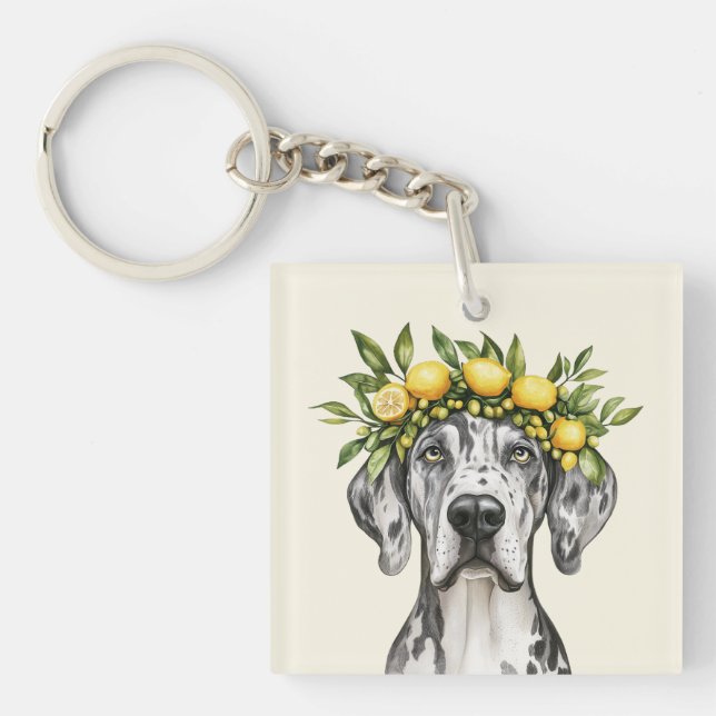 Merle Great dane Hund Lemon Krona (Framsidan)