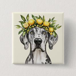 Merle Great dane Hund Lemon Krona Knapp