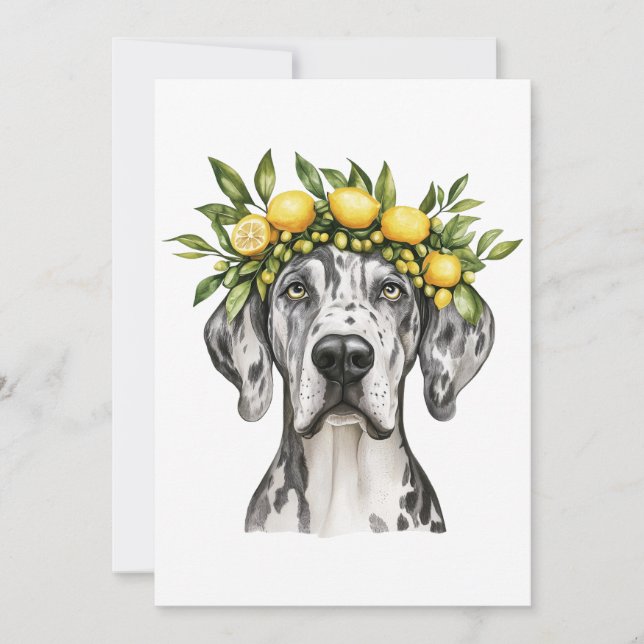 Merle Great dane Hund Lemon Krona Kort (Framsida)