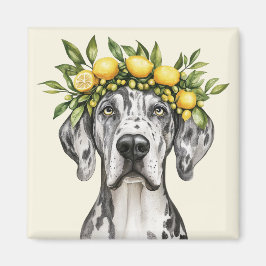 Merle Great dane Hund Lemon Krona Magnet