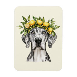 Merle Great dane Hund Lemon Krona Magnet