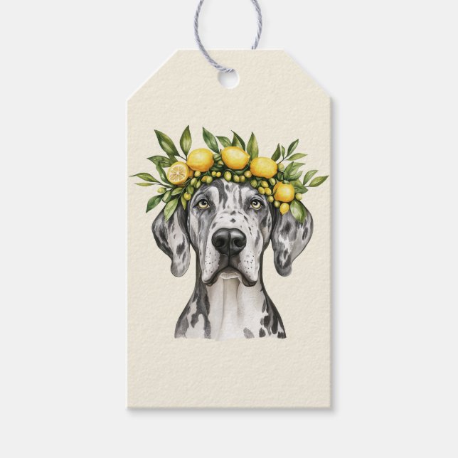 Merle Great dane Hund Lemon Krona Presentetikett (Framsidan)