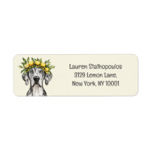 Merle Great dane Hund Lemon Krona