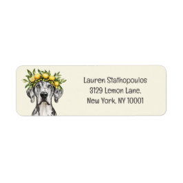 Merle Great dane Hund Lemon Krona Returadress Etikett
