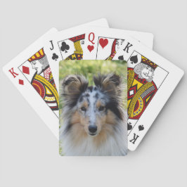 Merle Shetland Sheepdog - Sheltie Hund Casinokort