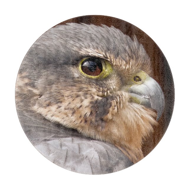 MERLIN FALCON BIRD OF BER (Framsidan)