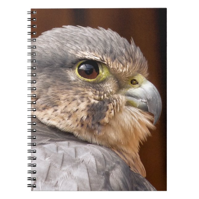 MERLIN FALCON BIRD OF BER ANTECKNINGSBOK (Framsidan)