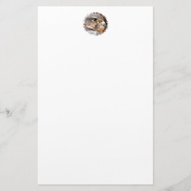 MERLIN FALCON BIRD OF BER BREVPAPPER (Framsida)