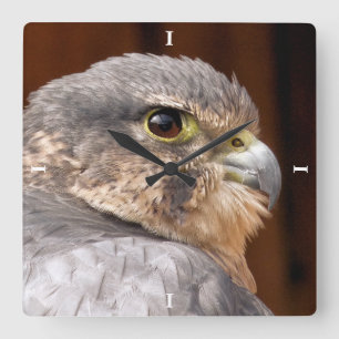 MERLIN FALCON BIRD OF BER FYRKANTIG KLOCKA