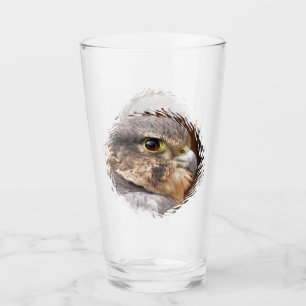 MERLIN FALCON BIRD OF BER GLASKOPP