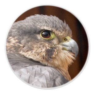 MERLIN FALCON BIRD OF BER KNOPP