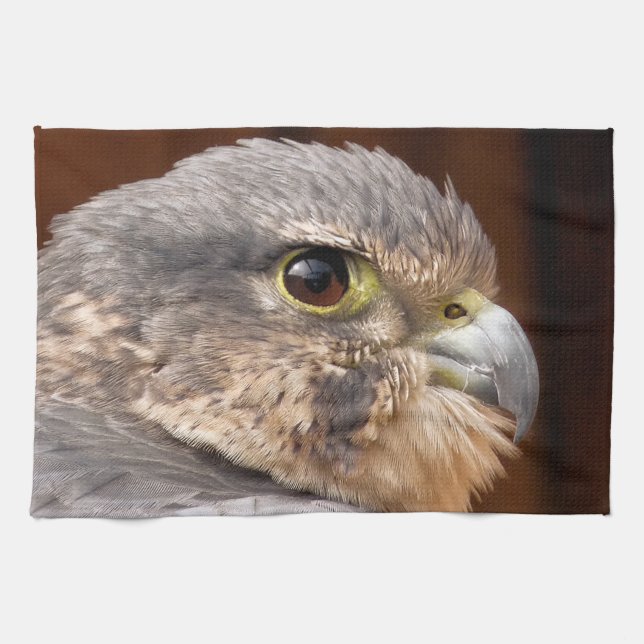 MERLIN FALCON BIRD OF BER KÖKSHANDDUK (Horisontell)