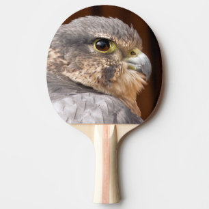 MERLIN FALCON BIRD OF BER PINGISRACKET