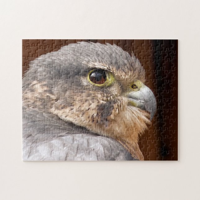 MERLIN FALCON BIRD OF BER PUSSEL (Horisontell)
