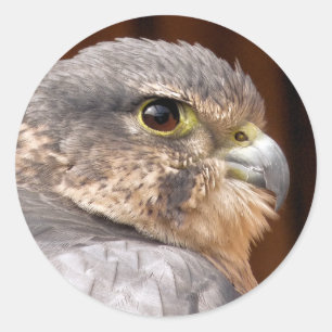 MERLIN FALCON BIRD OF BER RUNT KLISTERMÄRKE