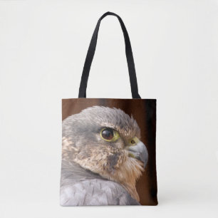 MERLIN FALCON BIRD OF BER TYGKASSE