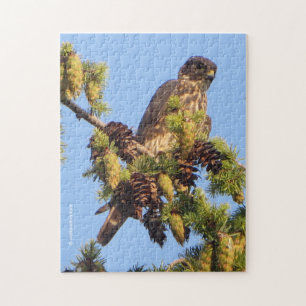 Merlin Falcon i Gräs Träd Pussel