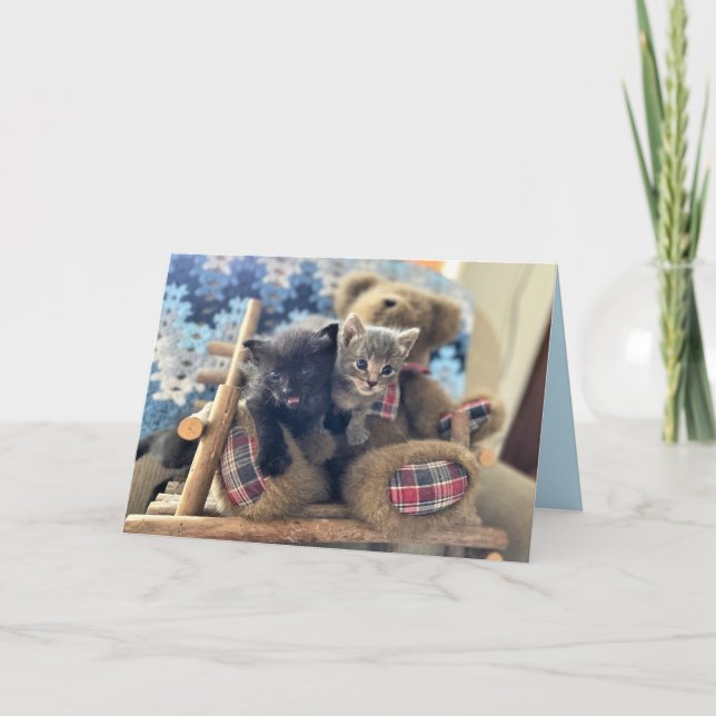 Merlin & Guinevere - Födelsedags kort för katt / k (Framsida)