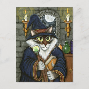 Merlin Magician Wizard Cat Magic Sorcerer Fantasy Vykort