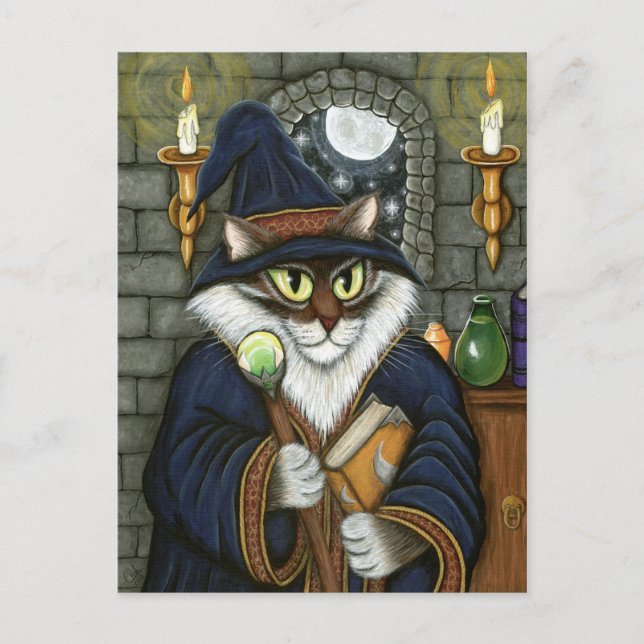 Merlin Magician Wizard Cat Magic Sorcerer Fantasy Vykort (Framsida)