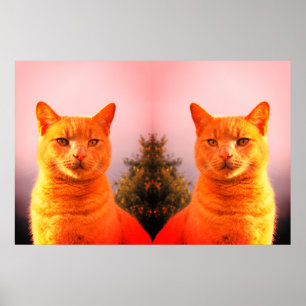 Merlin- och ängelvängkatter poster
