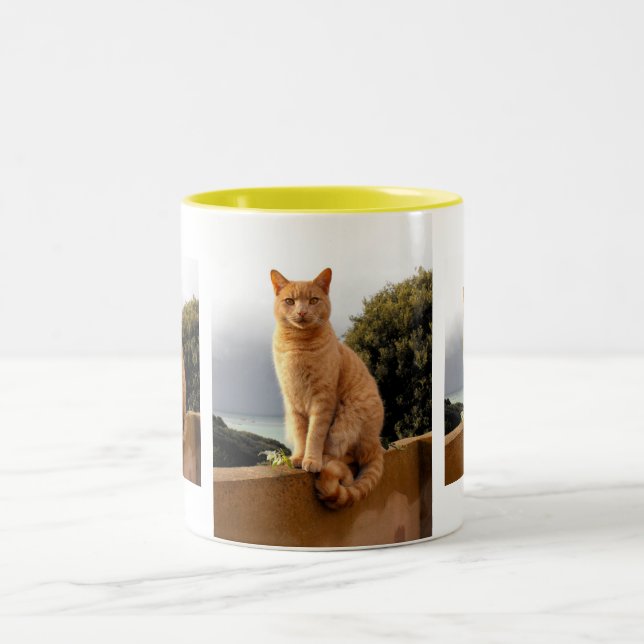 Merlin på trädgårdsmuren Två-Tonad mugg (Center)