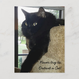 Merlin the Cat Quote Vykort