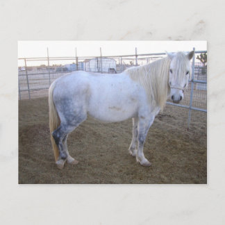 Merlin-vykort Vykort