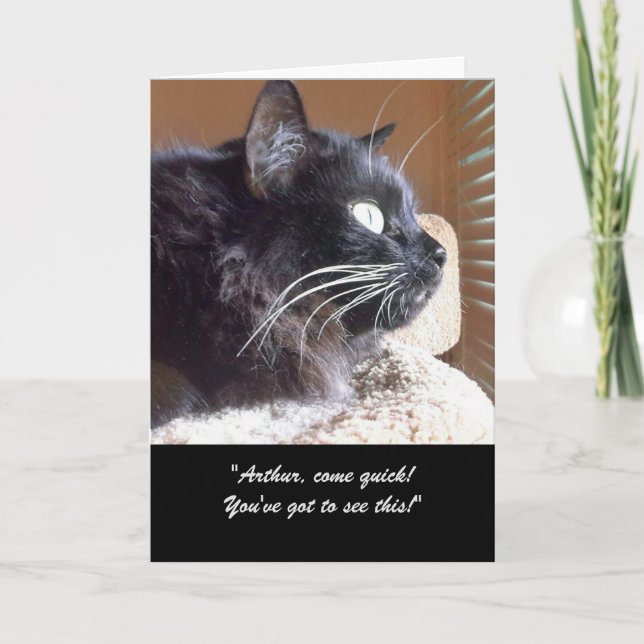 Merlins vyartikelgratulationskort kort (Framsida)