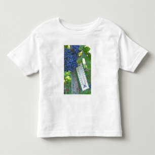 Merlot-druvor på Chateau la Grave Figeac, en T-shirt
