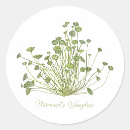 Mermaids Wineglass & Acetabularia Sea-Inspired Runt Klistermärke