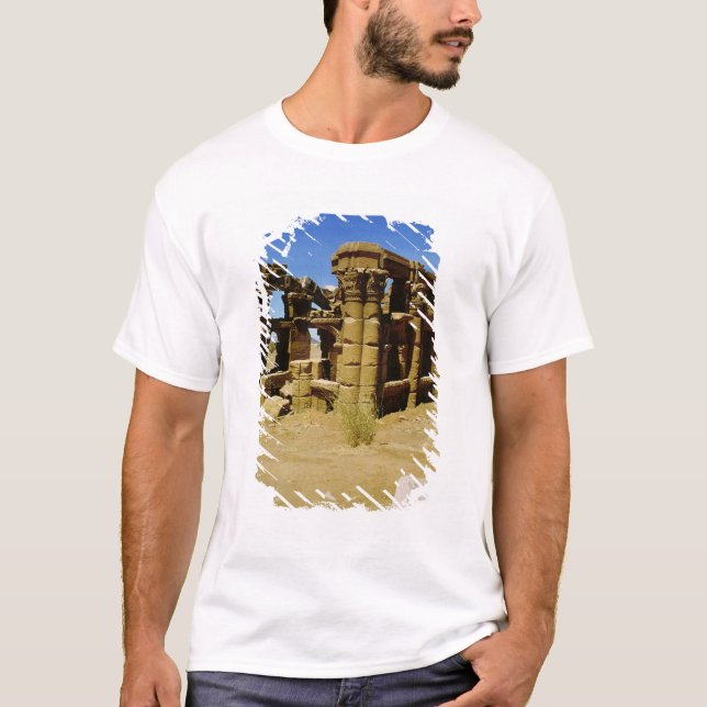 Meroitic kiosk t-shirt (Framsida)