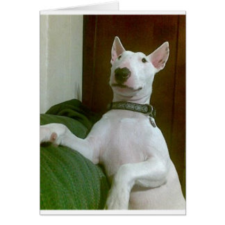 merra hälsningskort