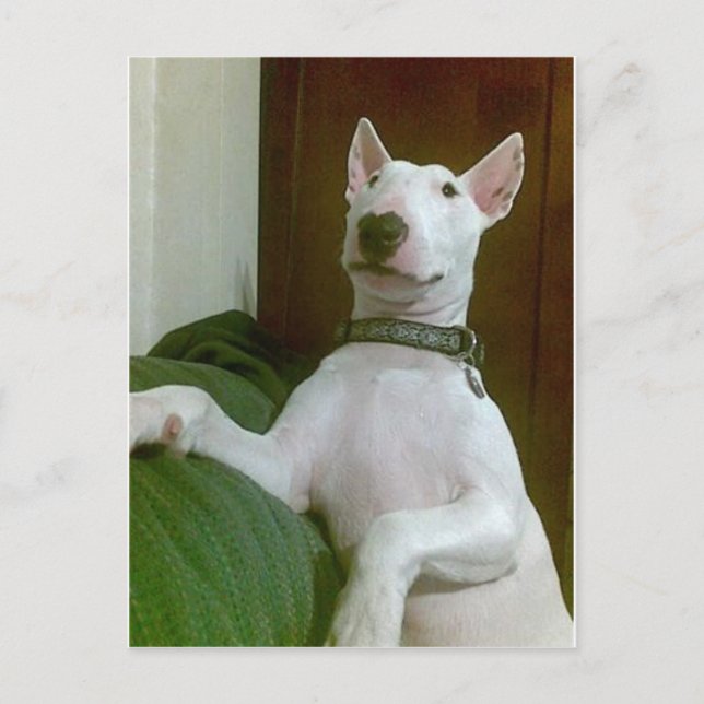 merra vykort (Framsida)