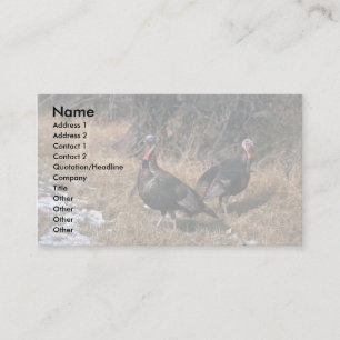 Merriams vild turkeys, gobblare visitkort