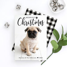 Merriest jul Black Buffalo Play Pet Photo