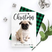 Merriest jul-Grönten Buffalo Play Pet Photo