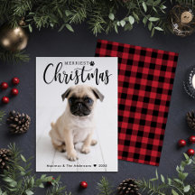 Merriest jul Red Buffalo Play Pet Photo