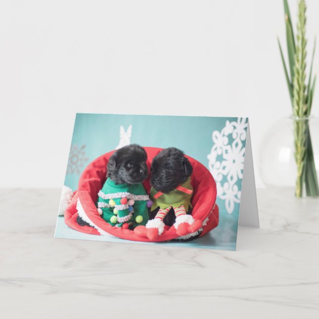 Merrily och tacksamt älvavalpar helgkort (Framsida)