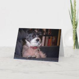 Merry Anna the Papijack Hund Kort