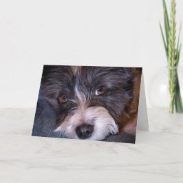 Merry Anna the Papijack Hund Kort